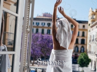 Sehmet