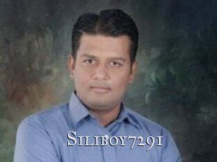 Siliboy7291