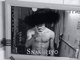 Snake3150
