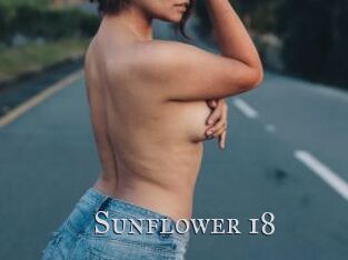 Sunflower_18