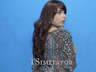 TSimitator