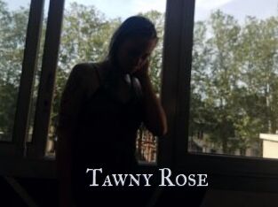 Tawny_Rose