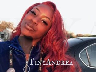 TinyAndrea
