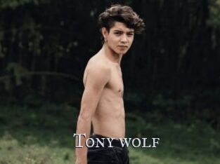 Tony_wolf