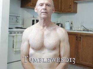 Tumbleweed13 Xxx Amateur