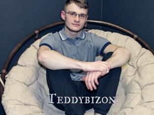 Teddybizon