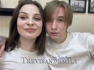 Trevisandemily