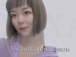 Vaginalplumblossom