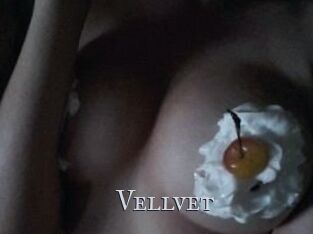 Vellvet