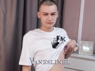 Vaneslinel