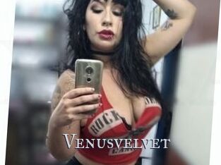 Venusvelvet