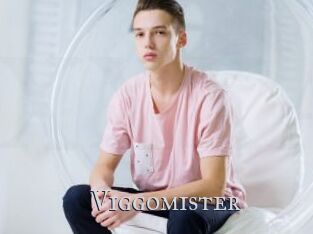 Viggomister