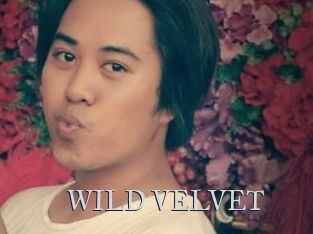 WILD_VELVET