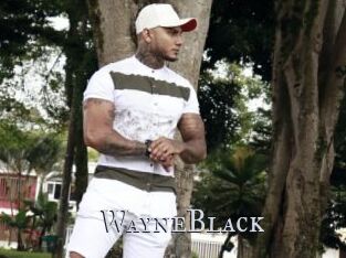 WayneBlack Xxx Amateur