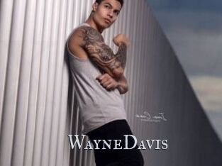 WayneDavis