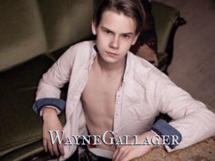 WayneGallager