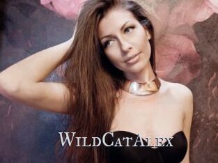 WildCatAlex
