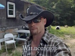 Wildcowboy