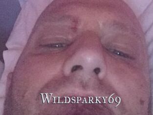Wildsparky69