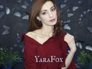 YaraFox Xxx Amateur