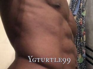Ygturtle99