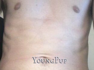 YoungPup