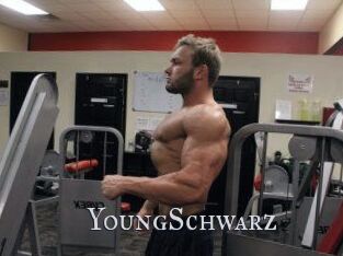 YoungSchwarz