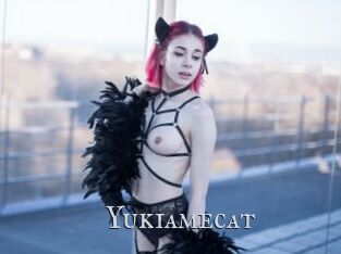 Yukiamecat