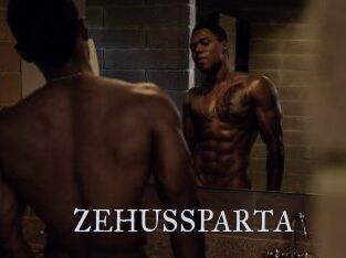 ZEHUS_SPARTA