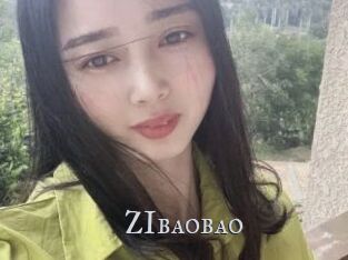ZIbaobao