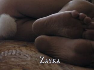 Zayka